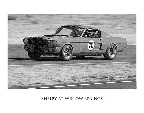 Shelby at Willow Springs Race Track