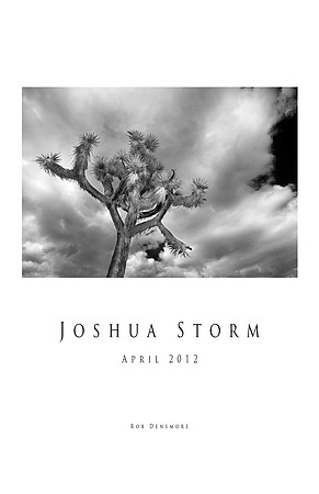 Joshua Storm
