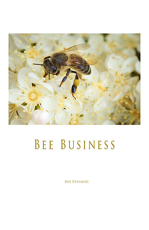 Bee Business