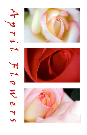 April Flowers