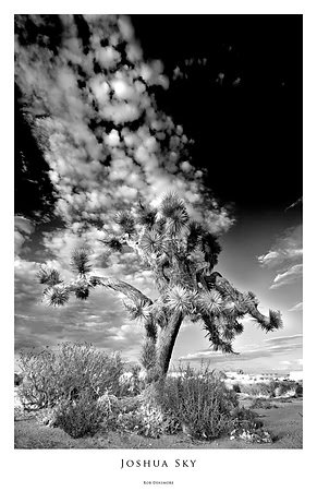 Joshua Sky